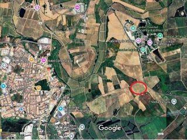 Terreno venda em Carvalhal, Bombarral