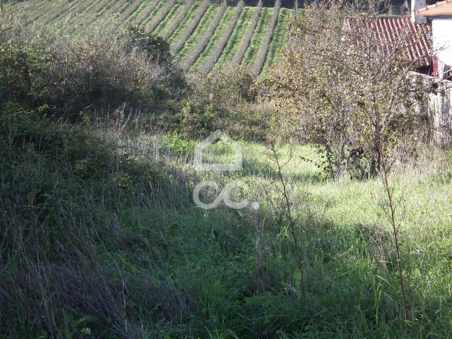Terreno venda em Bombarral, Leiria