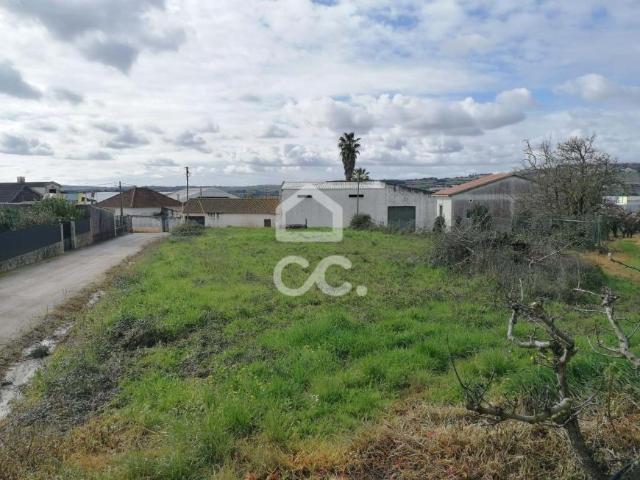 Terreno venda em Bombarral, Leiria