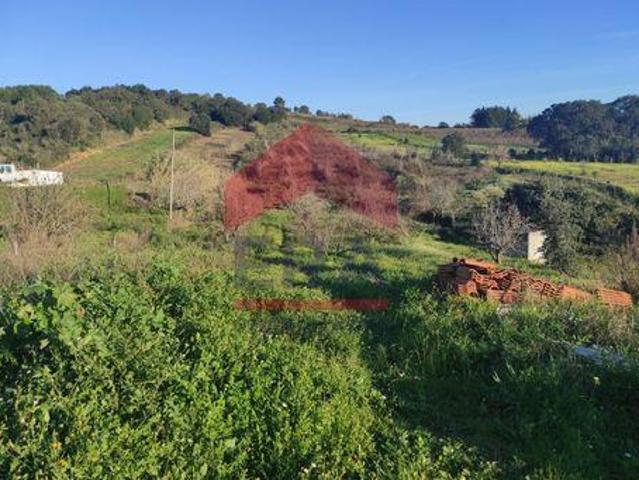 Terreno venda em Bombarral, Delgada