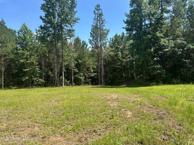 Land for sale in Roxie, Mississippi