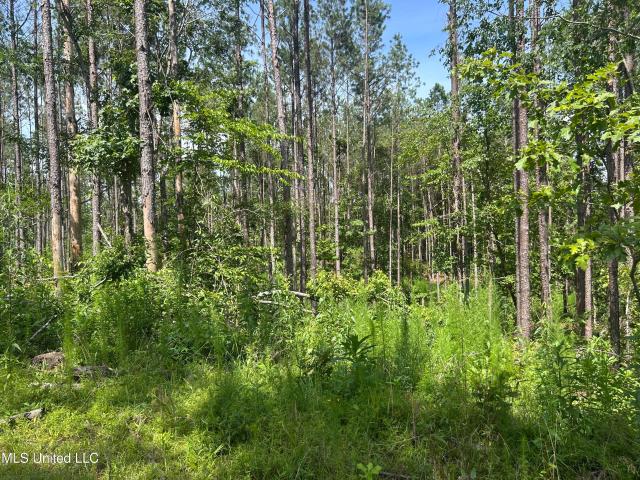 Land for sale in Roxie, Mississippi