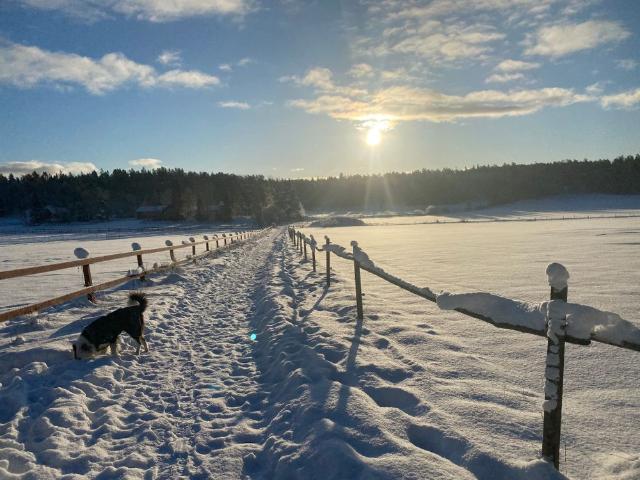 Hus hyra i Haninge, Stockholm