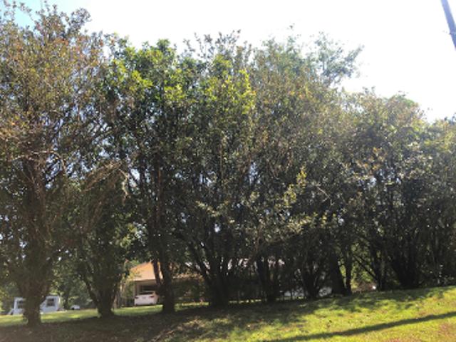 House for sale in Bonifay, Florida