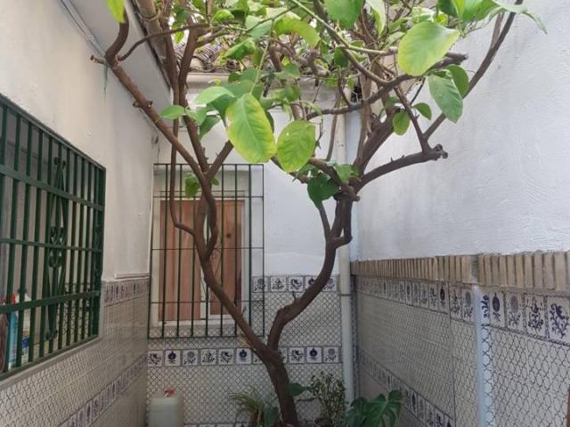 Casa en alquiler en Beiro, Comarca de la Vega de Granada