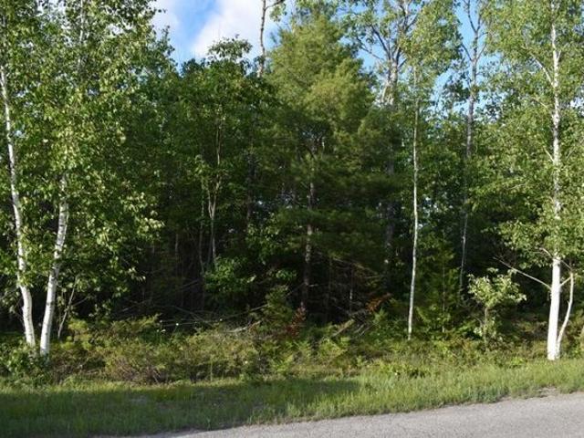 Land for sale in Presque Isle, Michigan