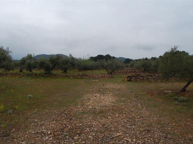 Casa en venta en el Perelló, Tarragona