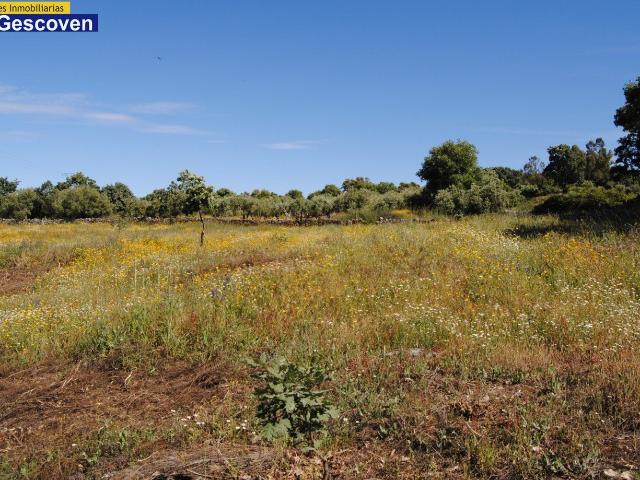 Chalet en venta en Valencia De Alcántara, Extremadura