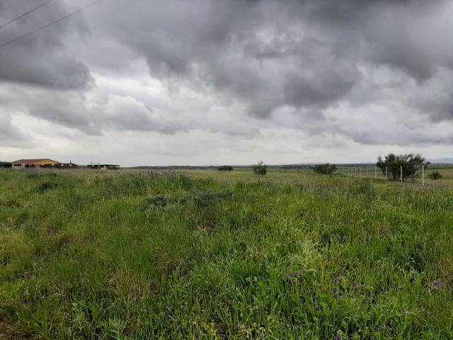 Terreno en venta en Cáceres - Sierra de Montánchez, Extremadura