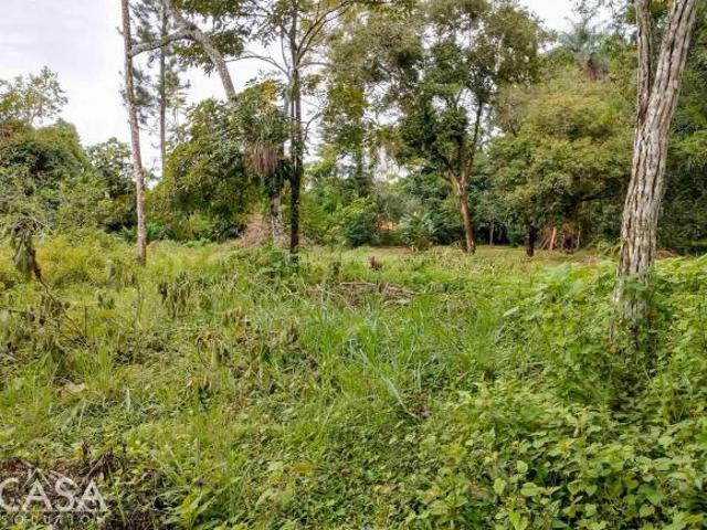 Bonita parcela de terreno plano en venta en Boquerón, Chiriquí
