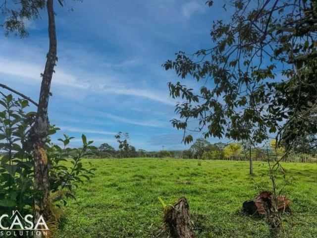 Bonita parcela de terreno plano en venta en Boquerón, Chiriquí