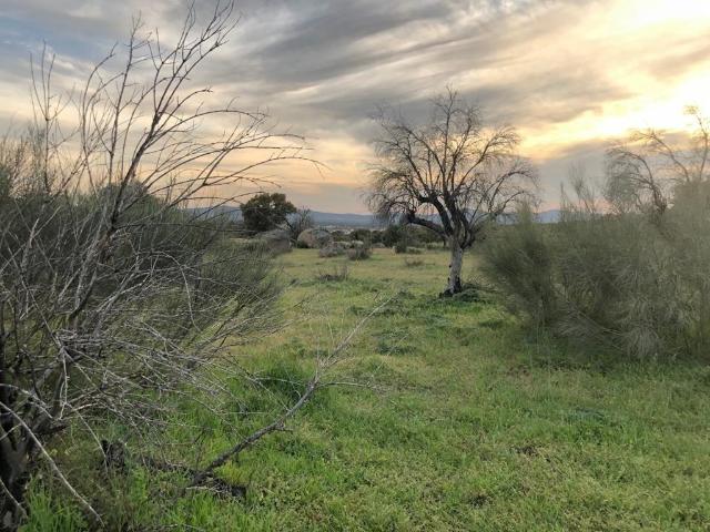 Terreno en venta en Aldea Del Cano, Extremadura