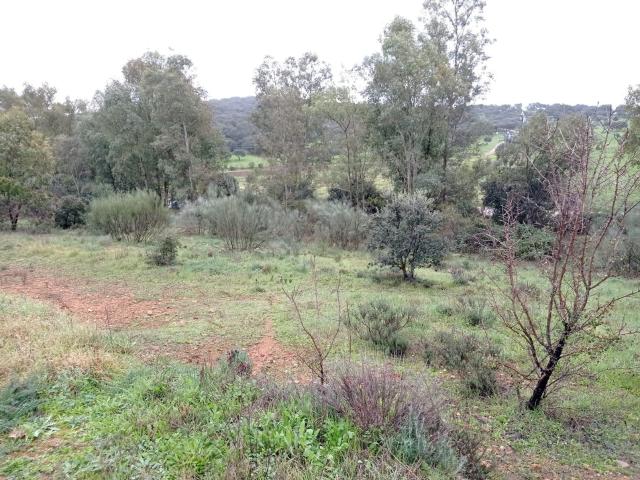 Terreno en venta en Margallo, Cáceres