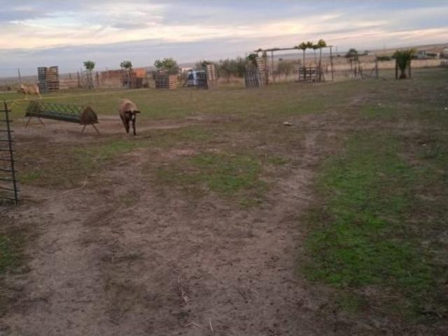 Local Comercial en venta en Cáceres - Sierra de Montánchez, Extremadura