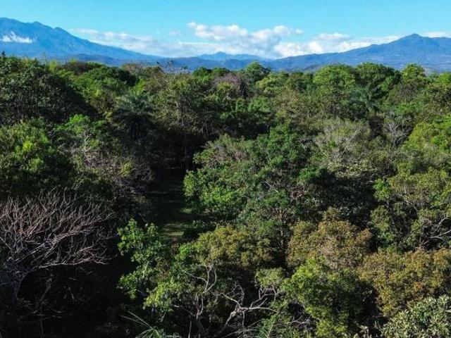 Bonito lote en venta en Macano de Cochea, Chiriquí
