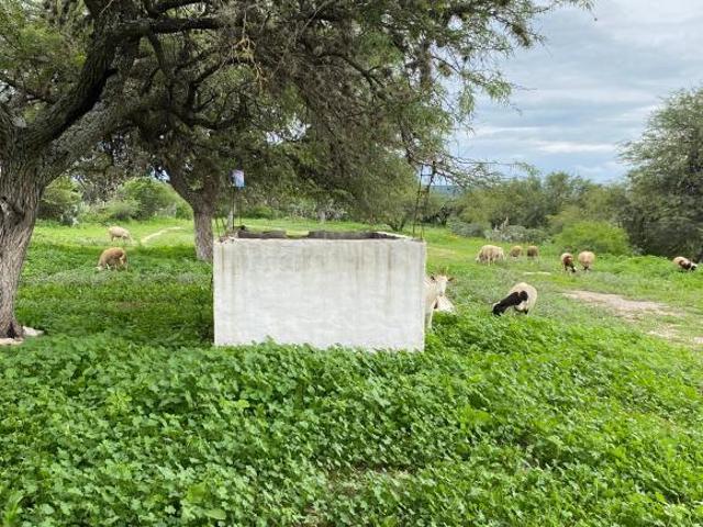 Rancho en venta en San Miguel De Allende, Guanajuato