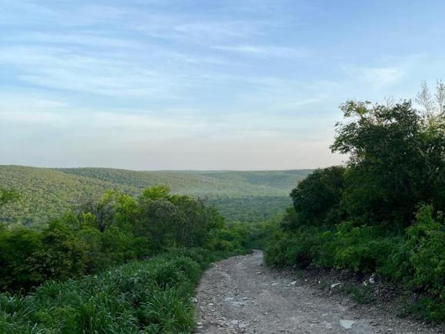 BONITO RANCHO GANADERO CON UNA SUPERFICIE DE 1400 HECTARIAS MUY FERTIL