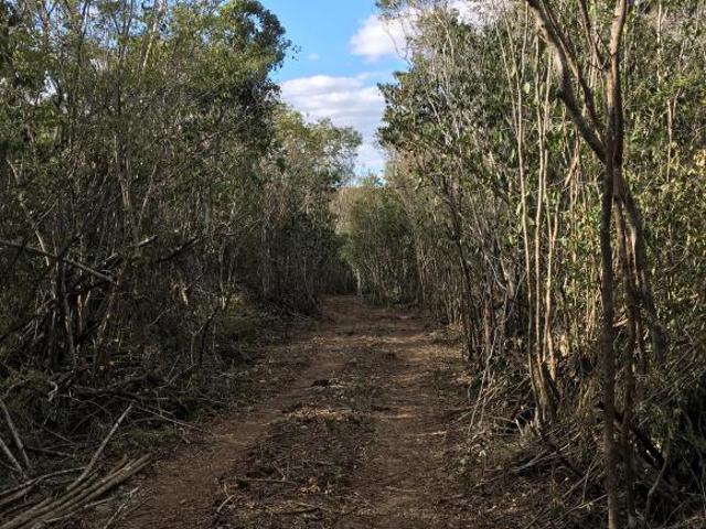 Rancho en venta en Ocampo, Coahuila