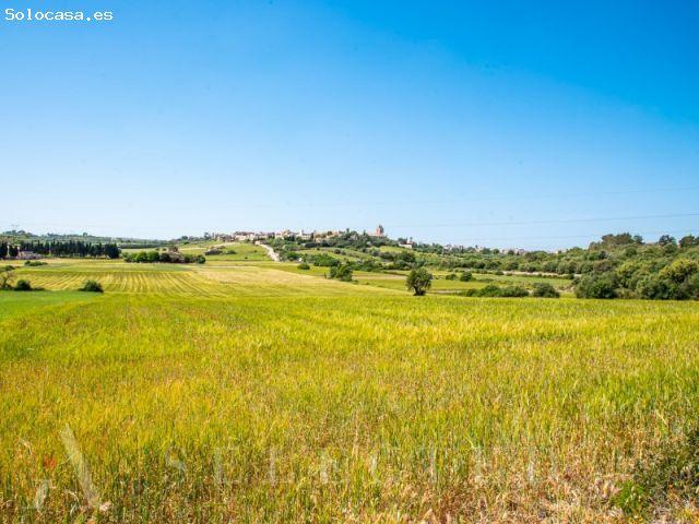 Local Comercial en venta en Pla de Mallorca, Baleares