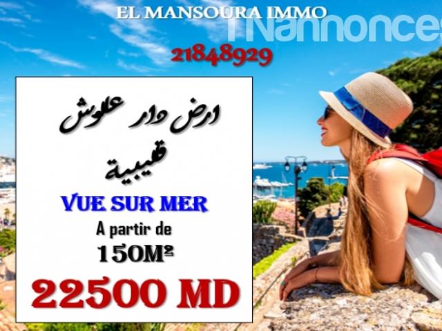Terrain vente