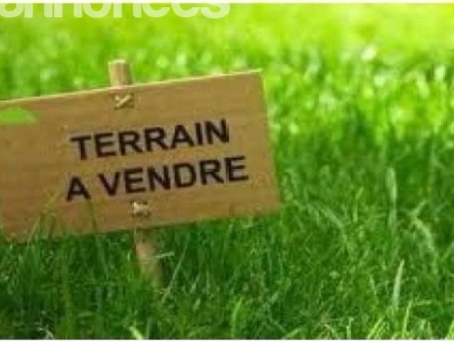 Terrain vente