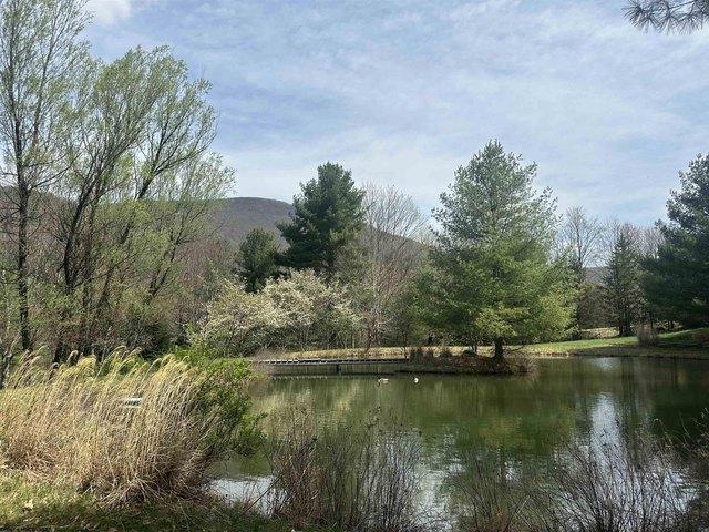 Land for sale in Wolcott, New York