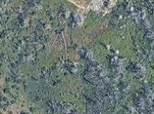 Land for sale in Butte, California