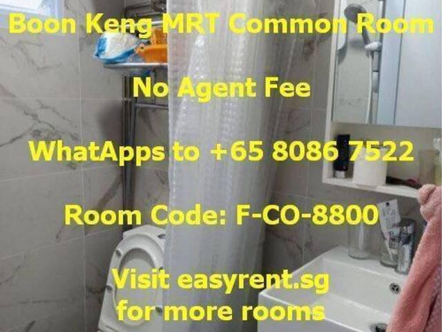 Room for rent