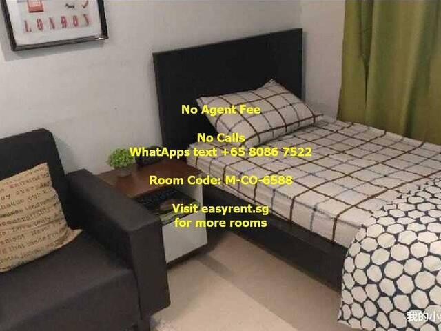 Room for rent