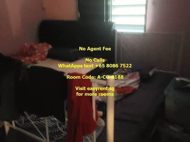Room for rent