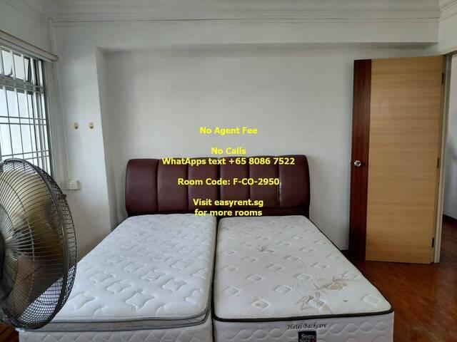 Room for rent