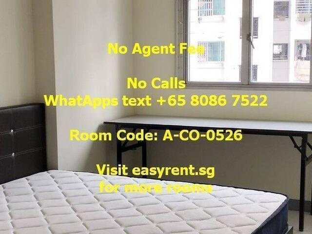 Room for rent