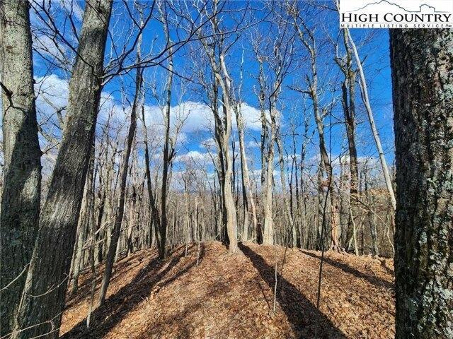 Land for sale in Watauga, North Carolina