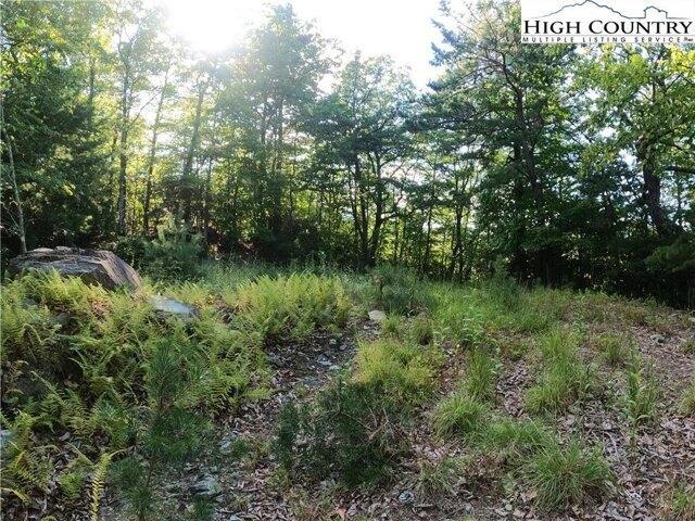 Land for sale in Watauga, North Carolina