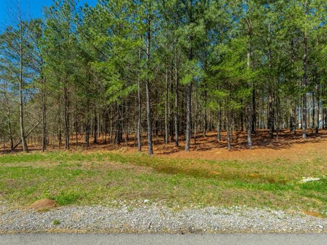 Land for sale in Tennessee