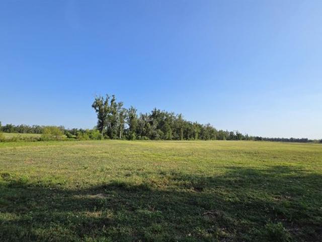 Farm for sale in Delhi, Louisiana
