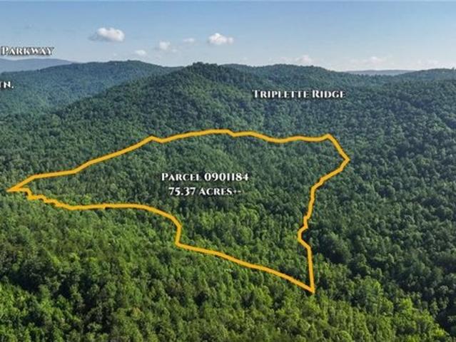 Land for sale in Purlear, North Carolina