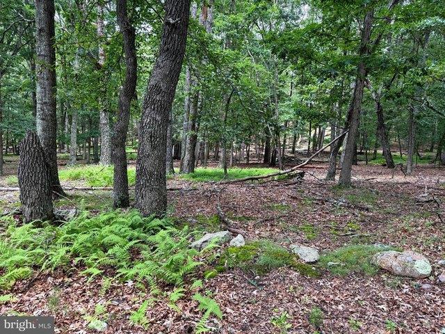 Land for sale in Upper Tract, West Virginia
