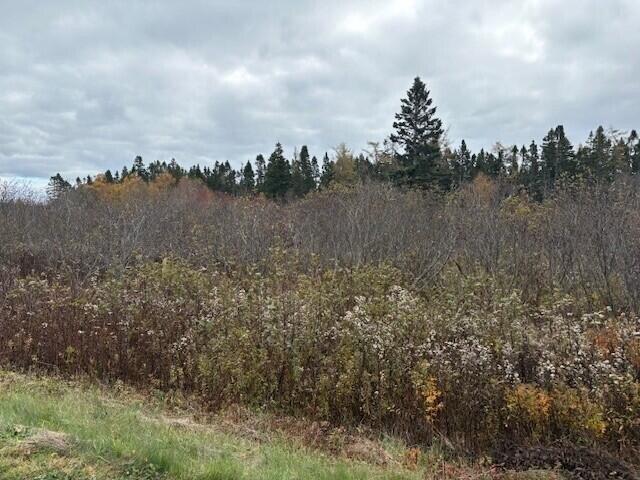 Land for sale in Lubec, Maine