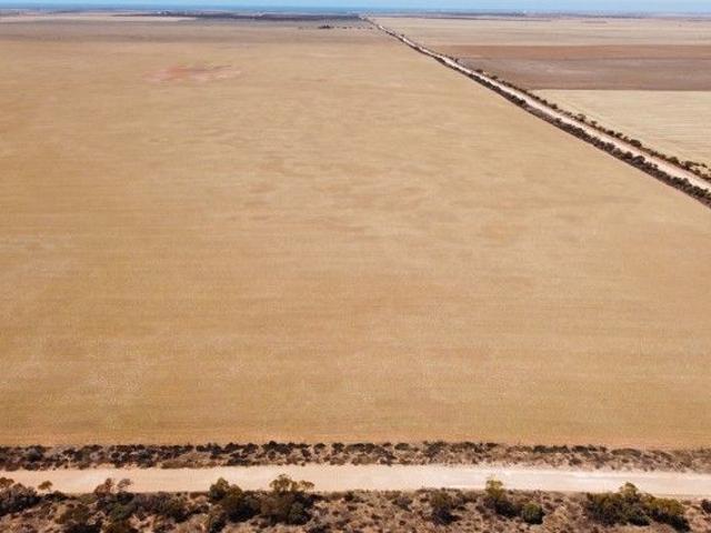 Land for sale in Cleve, South Australia