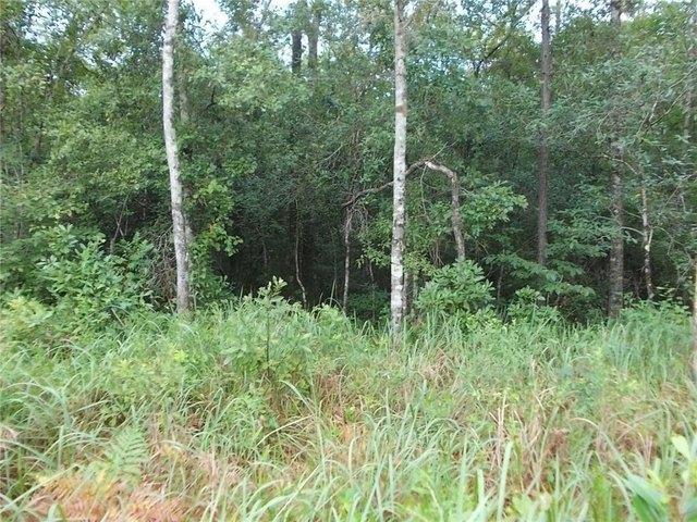Land for sale in Citronelle, Alabama