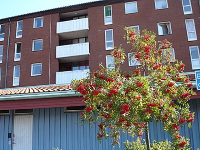 Lägenhet hyra i Göteborg, Västra Götaland