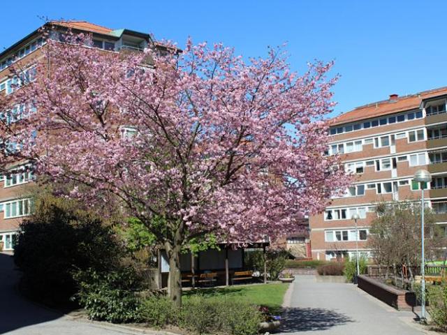 Lägenhet hyra i Göteborg, Västra Götaland