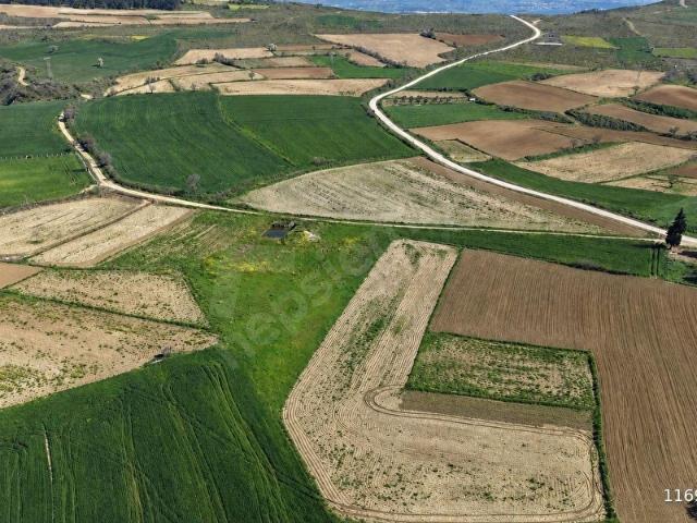 Pazarlı, Gelibolu içerisinde satılık Arsa