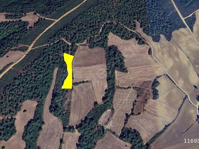 Pazarlı, Gelibolu içerisinde satılık Arsa
