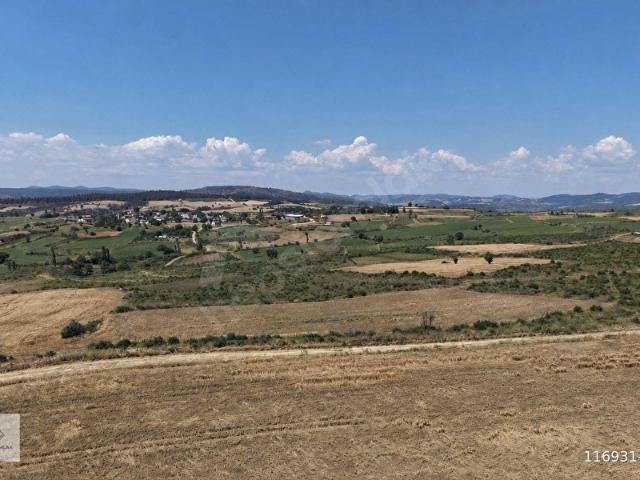 Pazarlı, Gelibolu içerisinde satılık Arsa