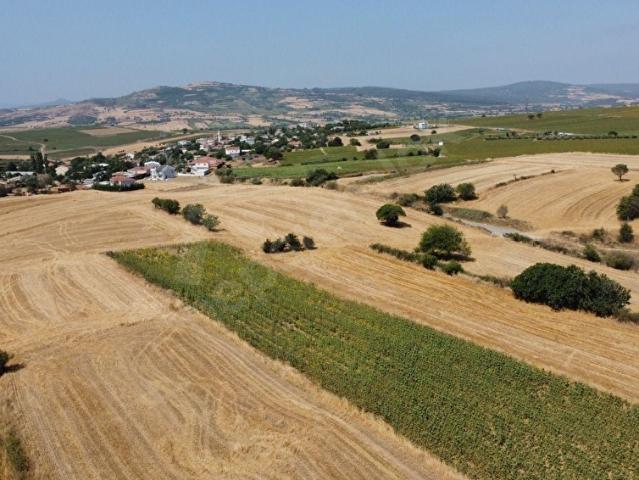 Sütlüce, Gelibolu içerisinde satılık Arsa