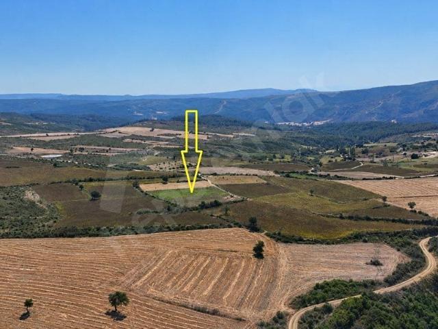 Pazarlı, Gelibolu içerisinde satılık Arsa