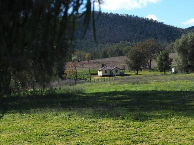 Cottage for sale in Bingara, New South Wales