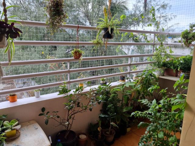 Flat for rent in Poona, National Capital Territory Of Delhi